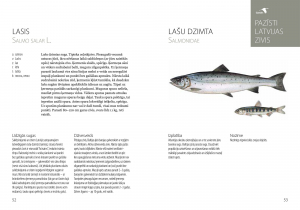  - Pazīsti Latvijas zivis