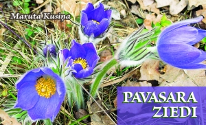 Maruta Kusiņa - Pavasara ziedi