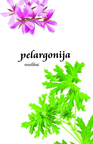 Sast. Daiga Zālīte - Pelargonija veselībai