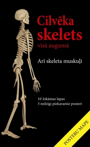  - Cilvēka skelets visā augumā (11 plakāti)